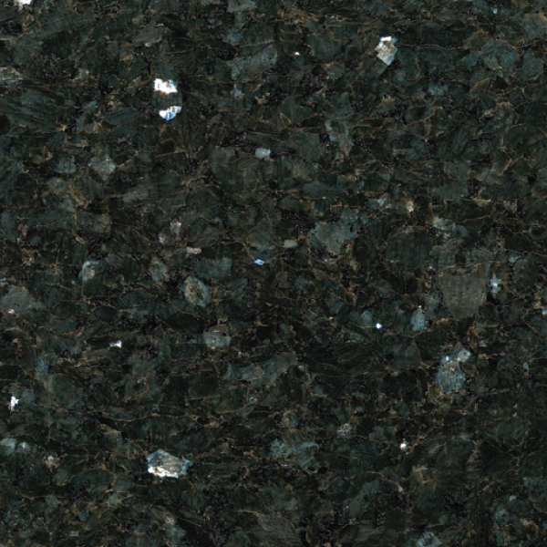 Tumma labrador kivi.